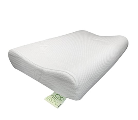 ：安排了室内室外交替的行程